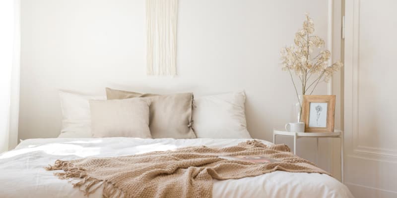 How to Determine if You Have a Bed Bug Infestation